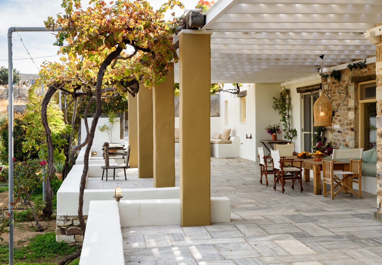 Villa in Naousa - A Luxurious Vineyard Retreat in Paros