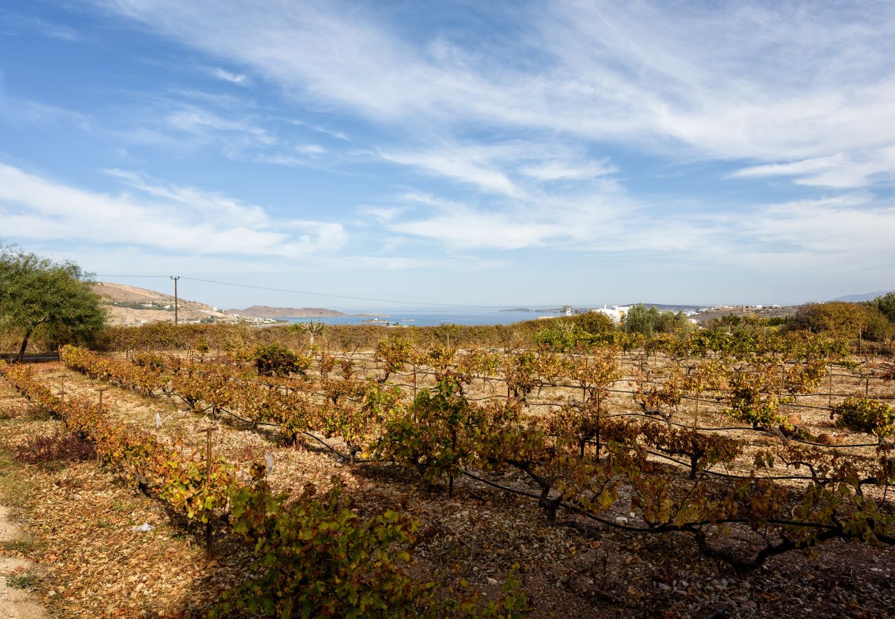 Villa in Naousa - A Luxurious Vineyard Retreat in Paros