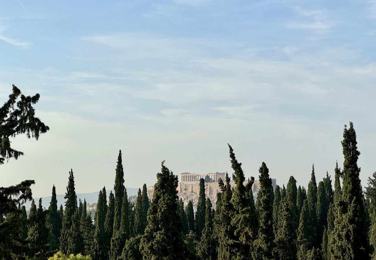 Apartment in Athens - Unique penthouse with Acropolis view in the heart of Athens!